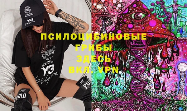 дурь Михайлов