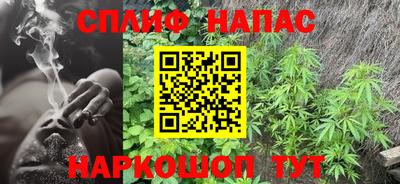 индика Бийск