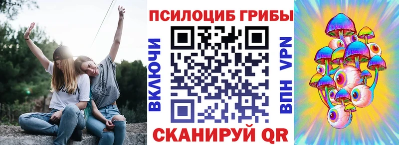где продают   Челябинск  Псилоцибиновые грибы мицелий 