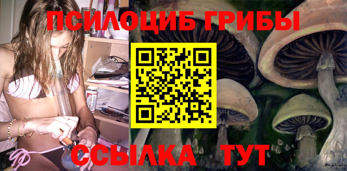 Псилоцибиновые грибы мухоморы Челябинск