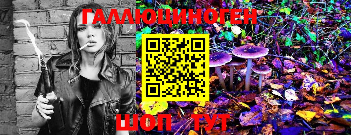 Псилоцибиновые грибы Psilocybe  закладка  Челябинск 